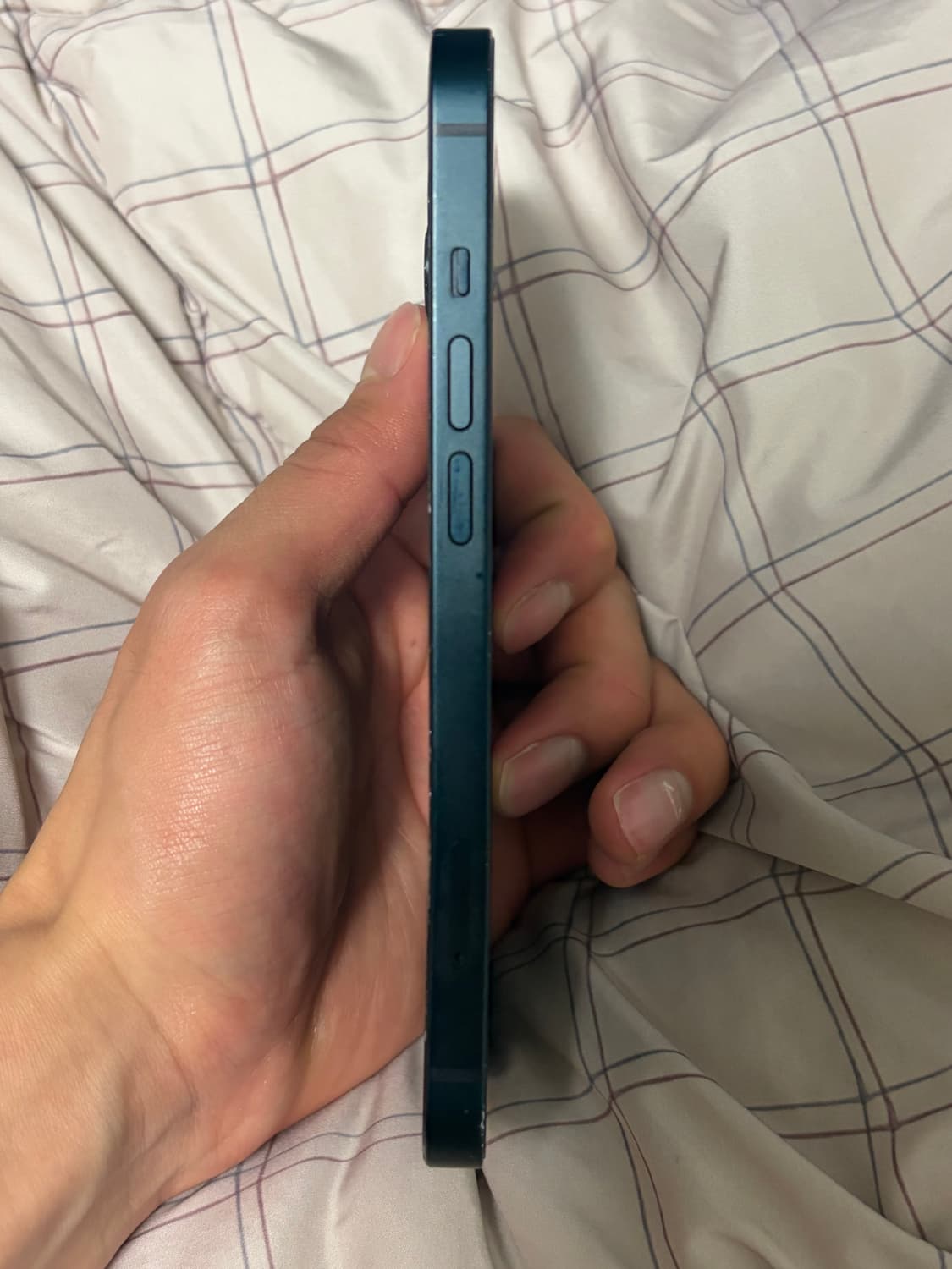 아이폰 13 (+ 케이스증정) 상품이미지4