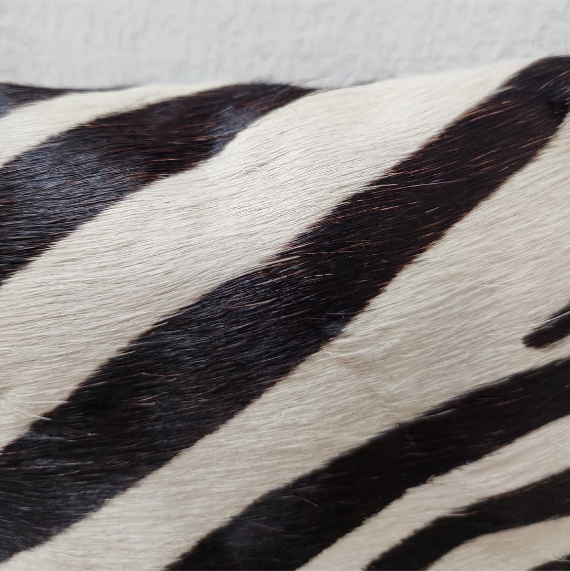 Theory 띠어리 올드라인 송치 천연 양피 크로스백 상품이미지3