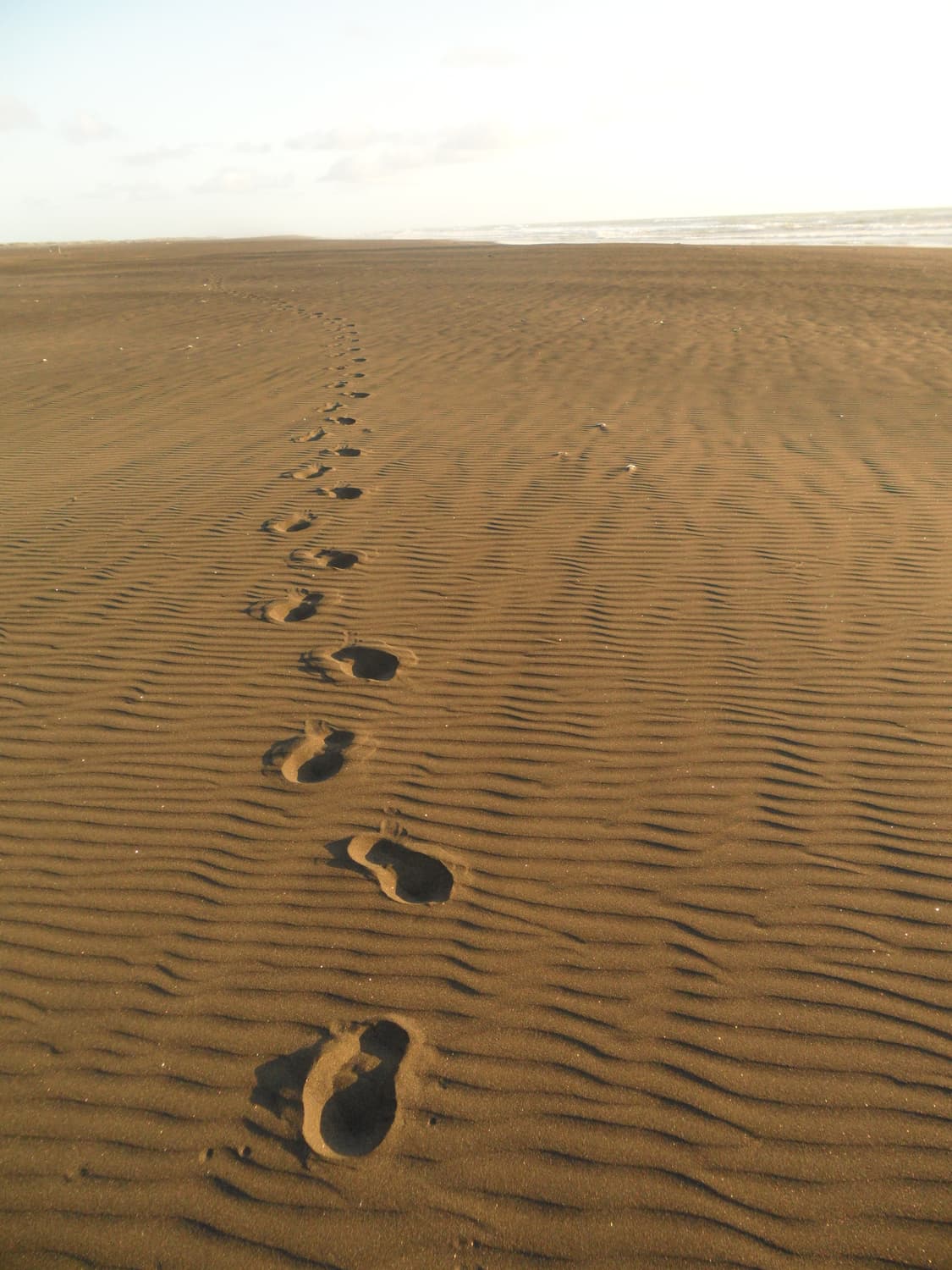 삼성 Samsung VLUU ST600 골드 상품이미지4