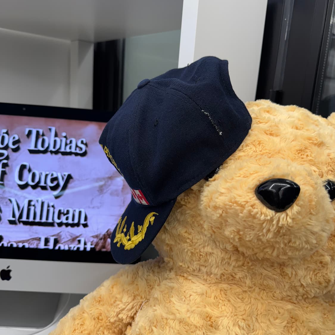 90s Lions International 만국기 빈티지 캡   상품이미지3