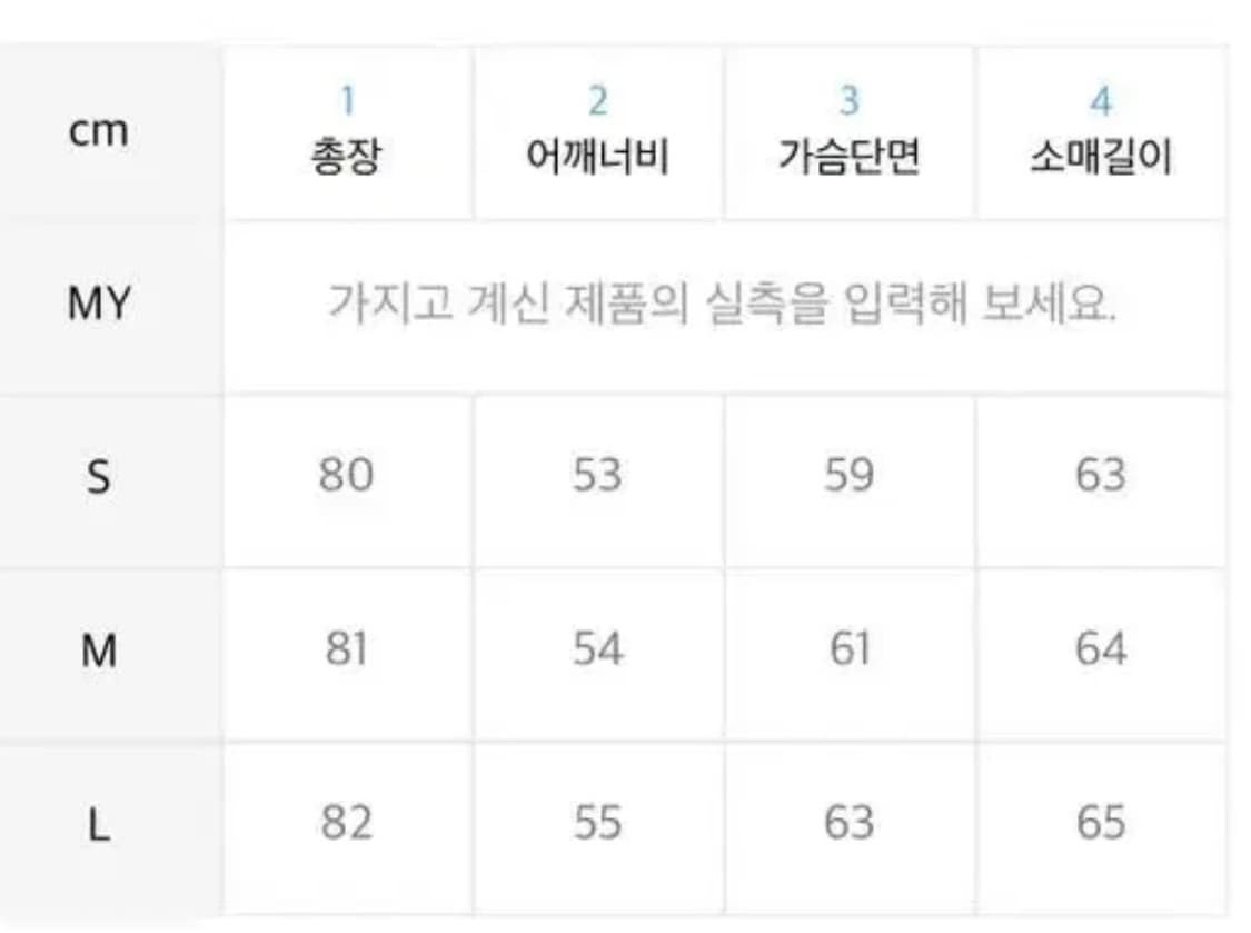 아웃스탠딩 마운틴 피키 디운패딩 L 상품이미지4
