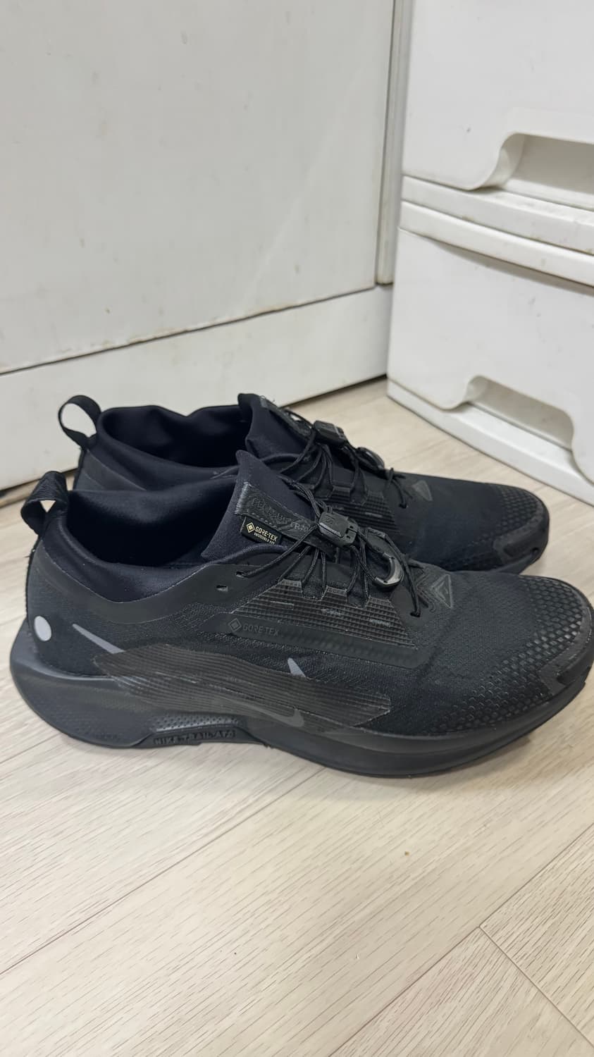 나이키 페가수스 트레일 5 고어텍스 블랙 280mm 상품이미지3