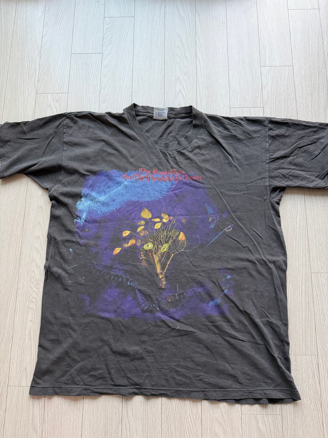 90s 무디 블루스 티셔츠 the moody blues 상품이미지1