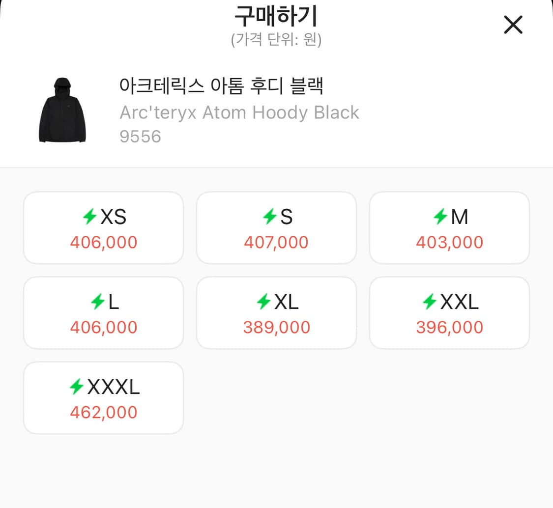 아크테릭스 아톰 후디 M / L 상품이미지4
