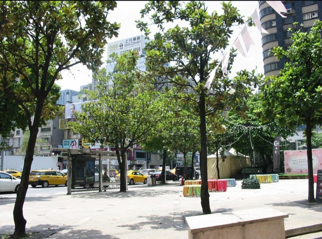 🌿클래식디카 📸 Canon PowerShot A20 💫 상품이미지2