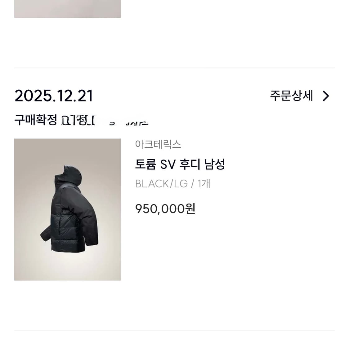 [L] 아크테릭스 토륨SV 블랙  상품이미지4