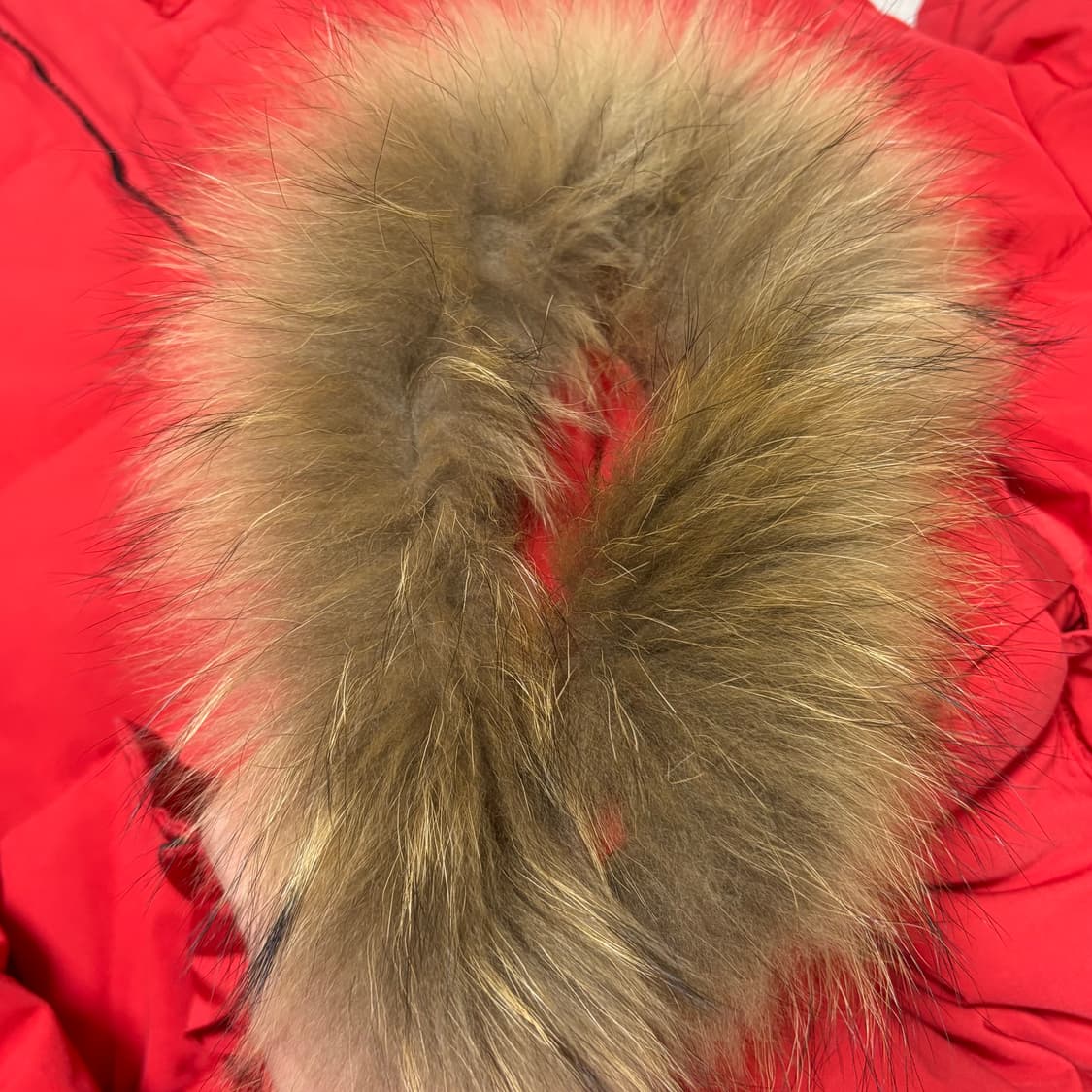 Canada Goose 정품 익스페디션 코요테 퍼 레드 파카 여성 패딩 상품이미지7