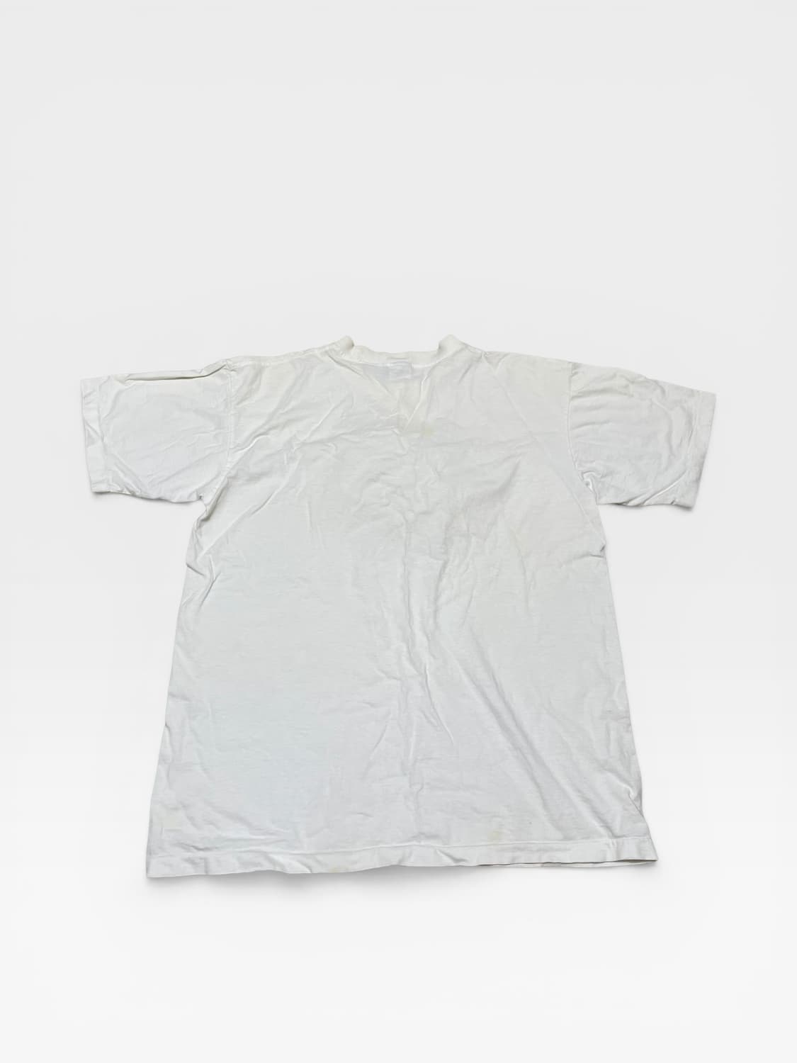 JP vtg - 도마뱀 티셔츠 (M 추천) 상품이미지2