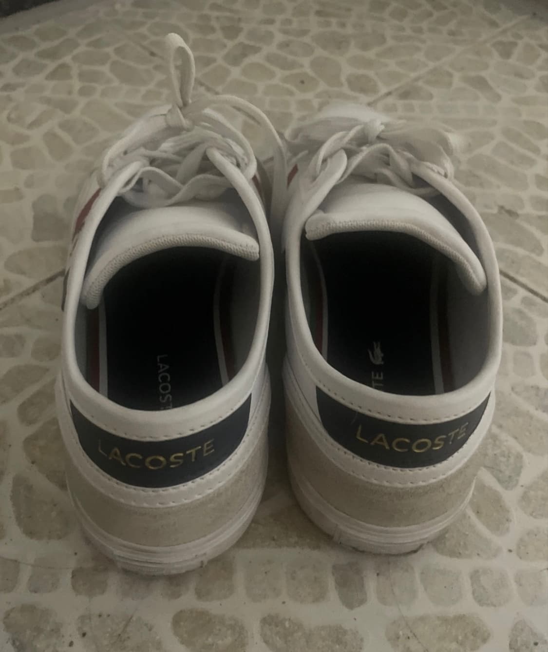 라코스테 스니커즈 230 상품이미지2