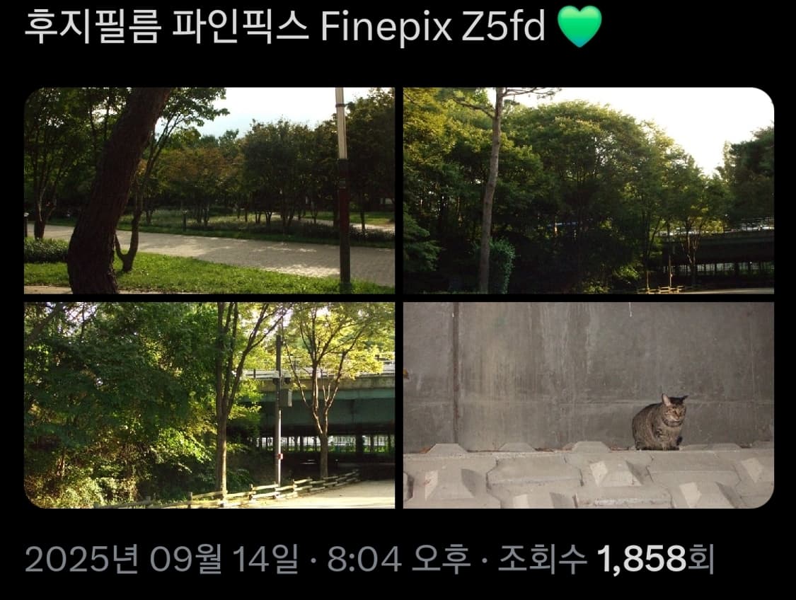 후지필름 파인픽스 z5fd 아일릿 로하 디카 상품이미지8