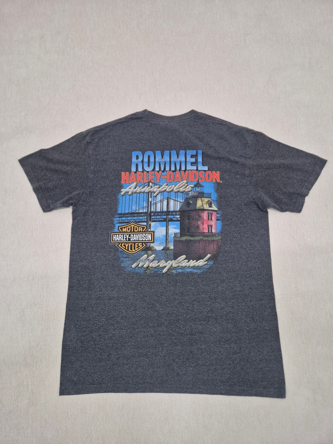 할리 데이비슨 반팔티셔츠 팝니다 상품이미지4