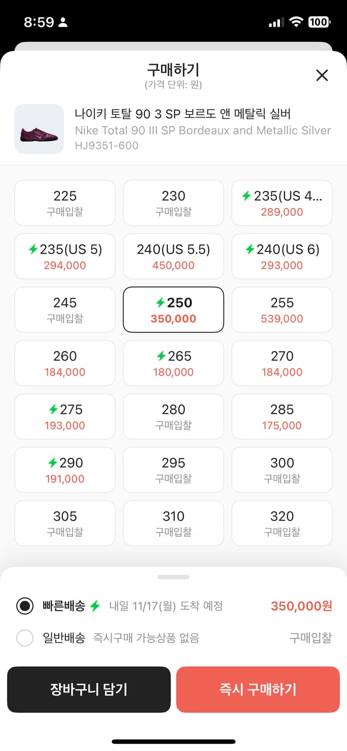 나이키 토탈 90 3 sp 보르도 앤 메탈릭 실버 250mm 상품이미지4