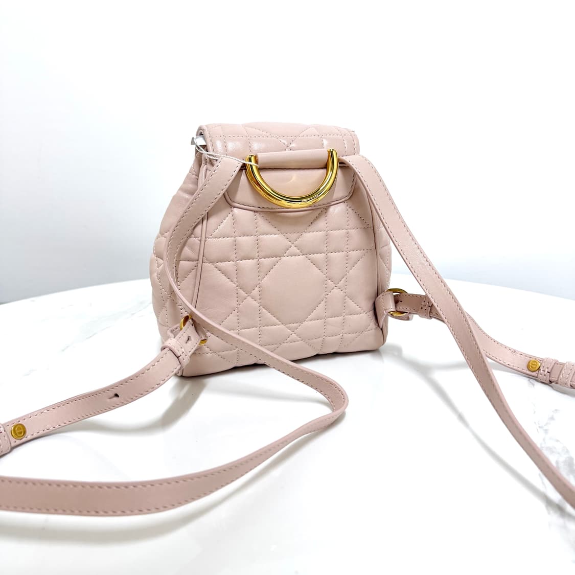 디올 카로 백팩 상품이미지3