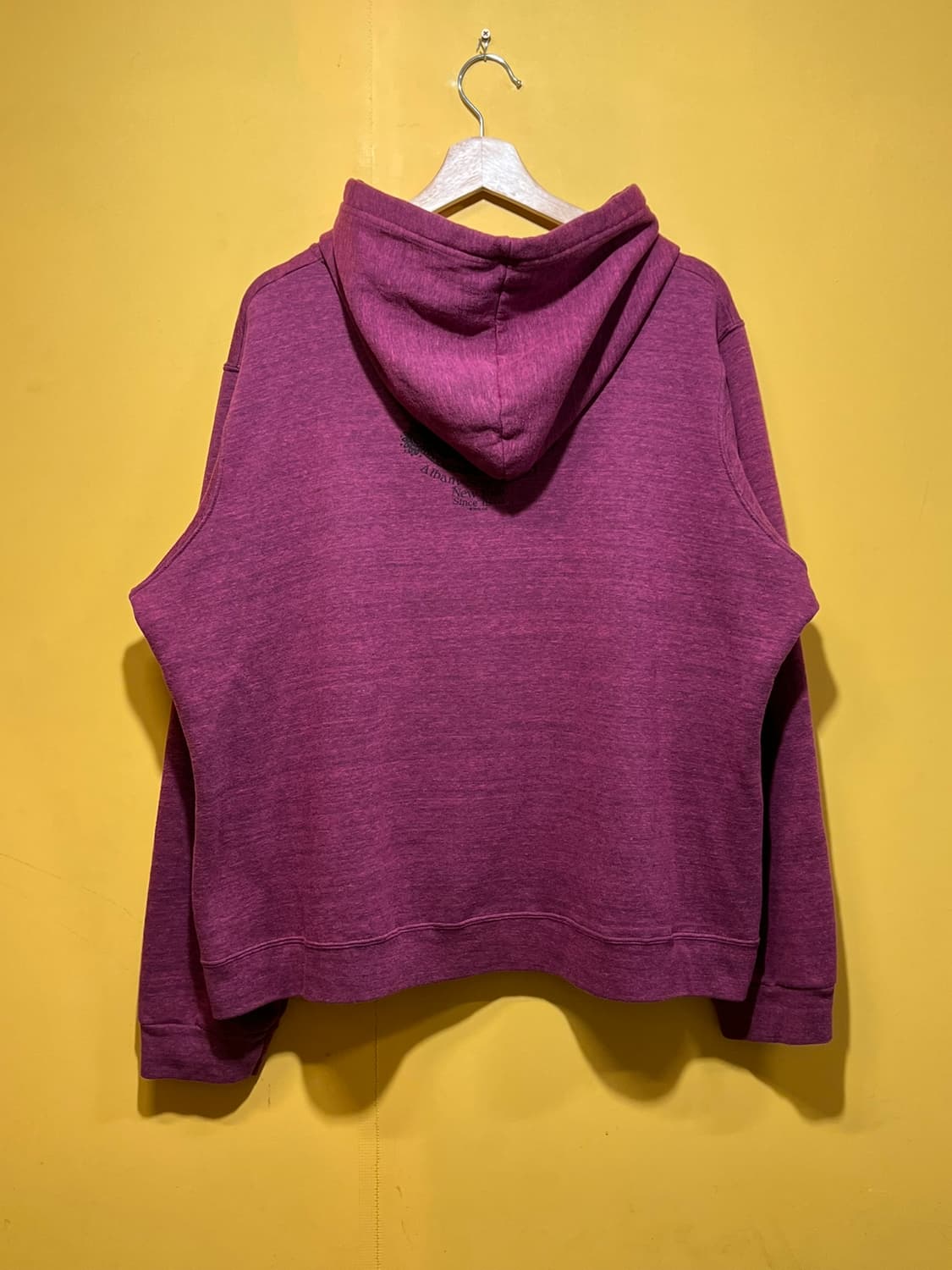 00s [여성3XL] 할리데이비슨 윙 그래픽 Y2K 집업 후드티 상품이미지7