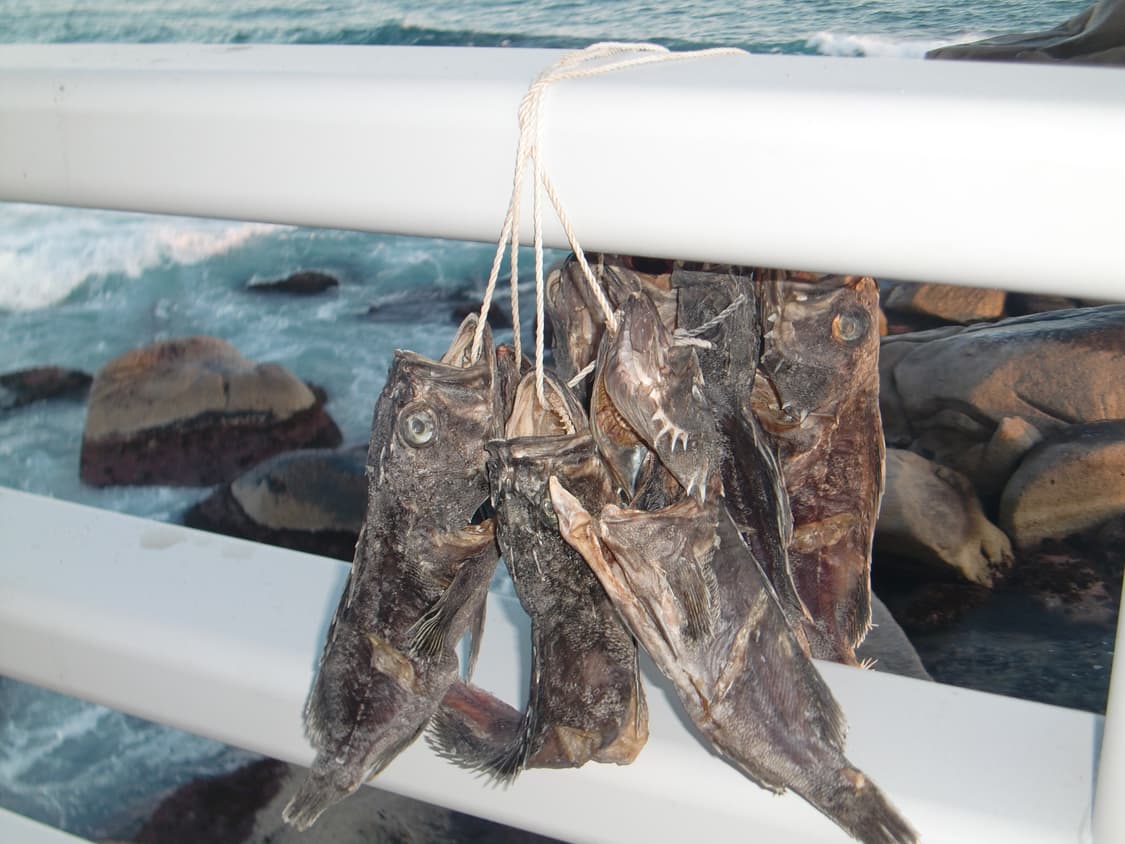 디카 카시오 ex-z450 상품이미지6