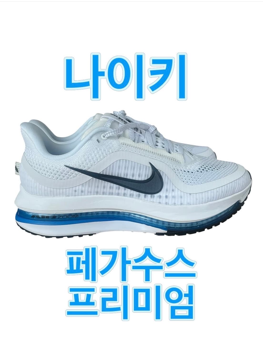 나이키 페가수스 프리미엄 상품이미지1
