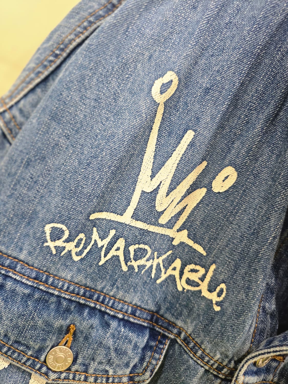 EVISU 에비수 데님 자켓 페인팅 상품이미지5