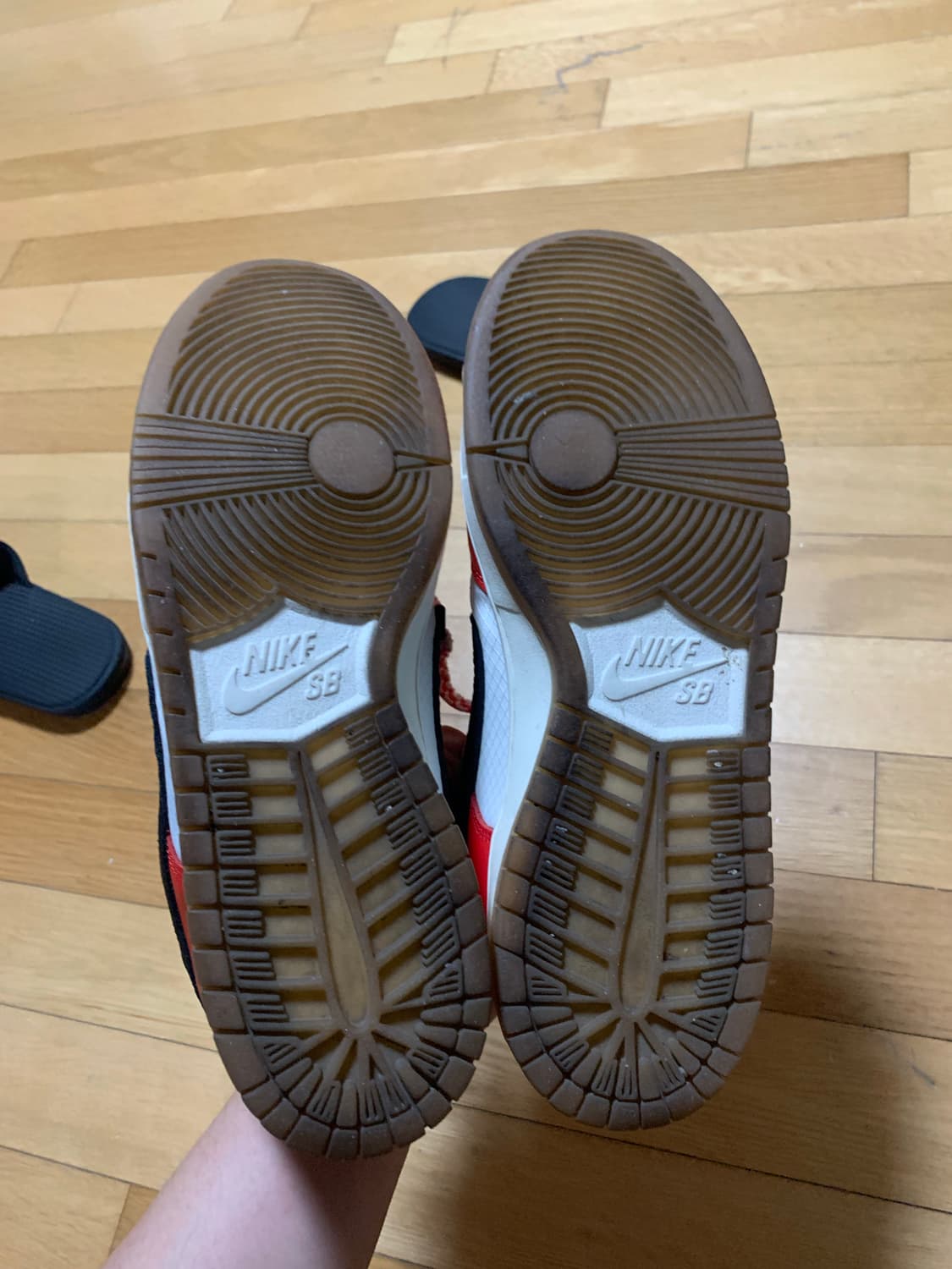 나이키 덩크 SB 하비비  상품이미지2