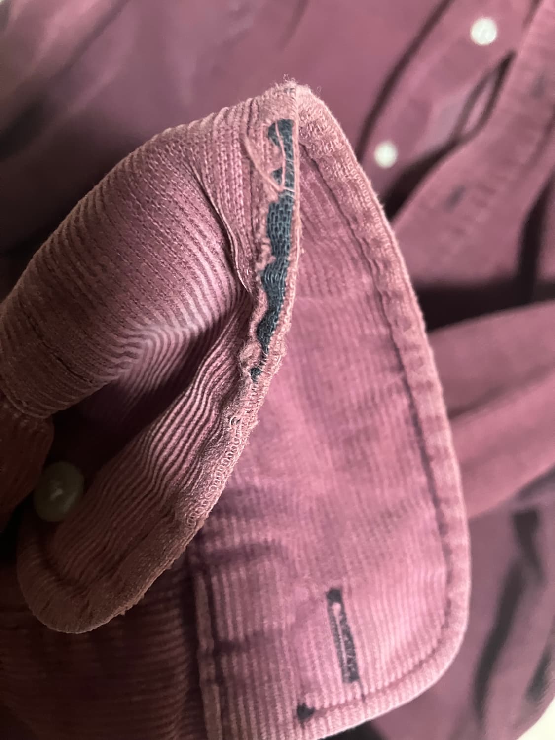 폴로 코듀로이 셔츠 버건디 s 상품이미지3