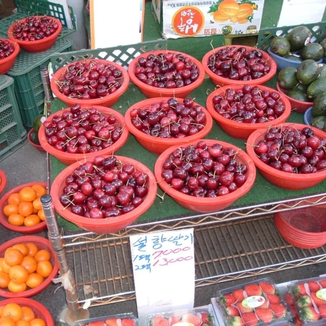 Fuji pinepix 파인픽스 A210+xd카드+스트랩 상품이미지6