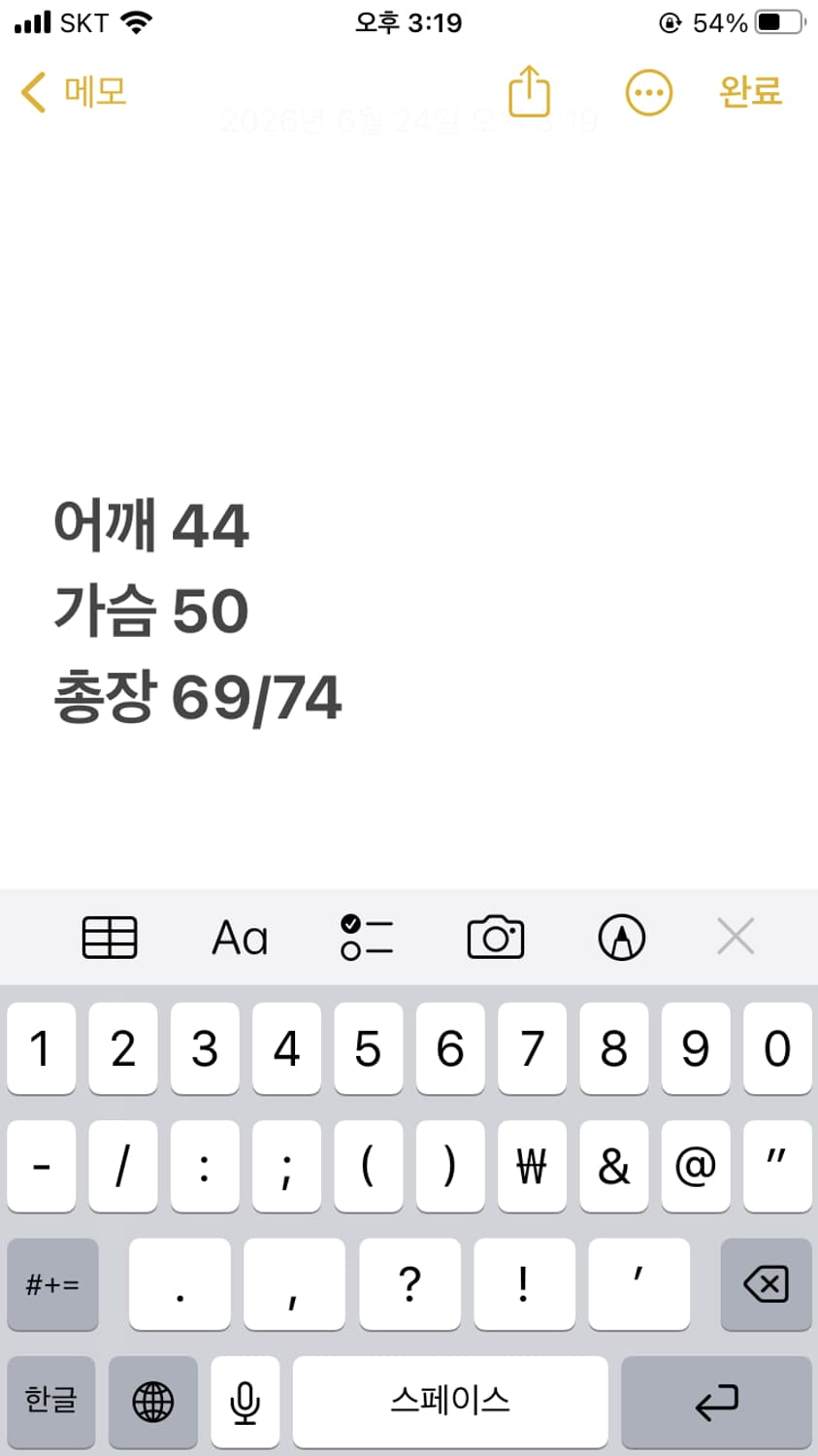폴로랄프로렌 빅포니 롱슬리브  상품이미지10