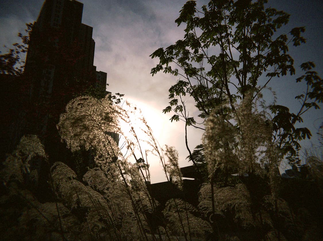 Flashback V2 (플래쉬백 카메라)(플래시백 카메라) 상품이미지9