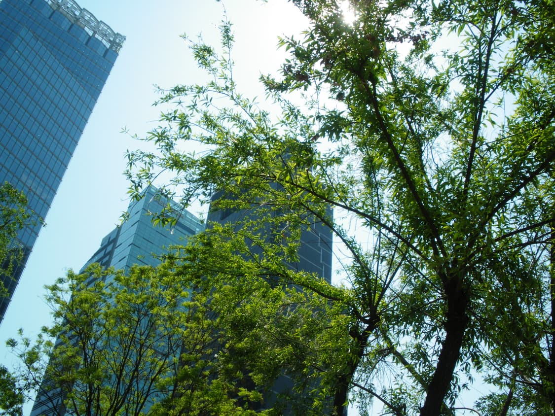 디카) 펜탁스 옵티오 m50, Pentax optio m50 / 작례O 상품이미지3