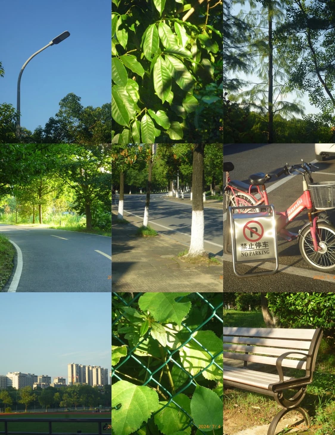 박스상품!) panasonic lumix dmc-s 빈티지 디카 상품이미지4