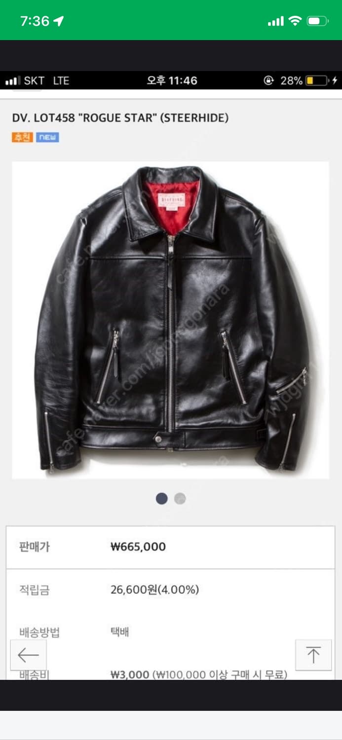 DV LOT458 ROGUE STAR (STEERHIDE) 소가죽 라이더 상품이미지4