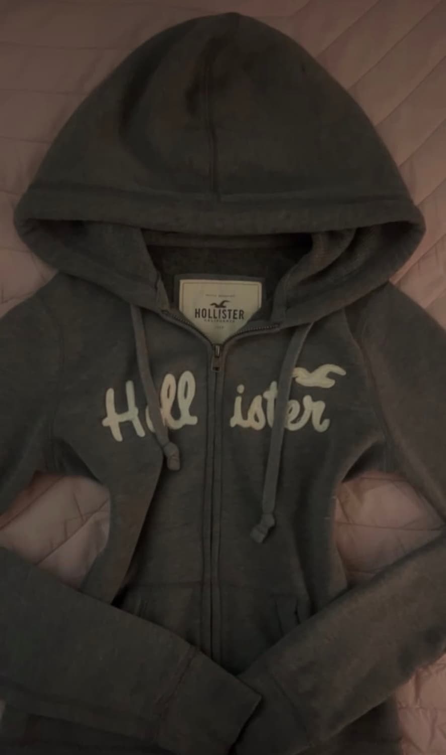 홀리스터 딱붙핏 후드집업 상품이미지1
