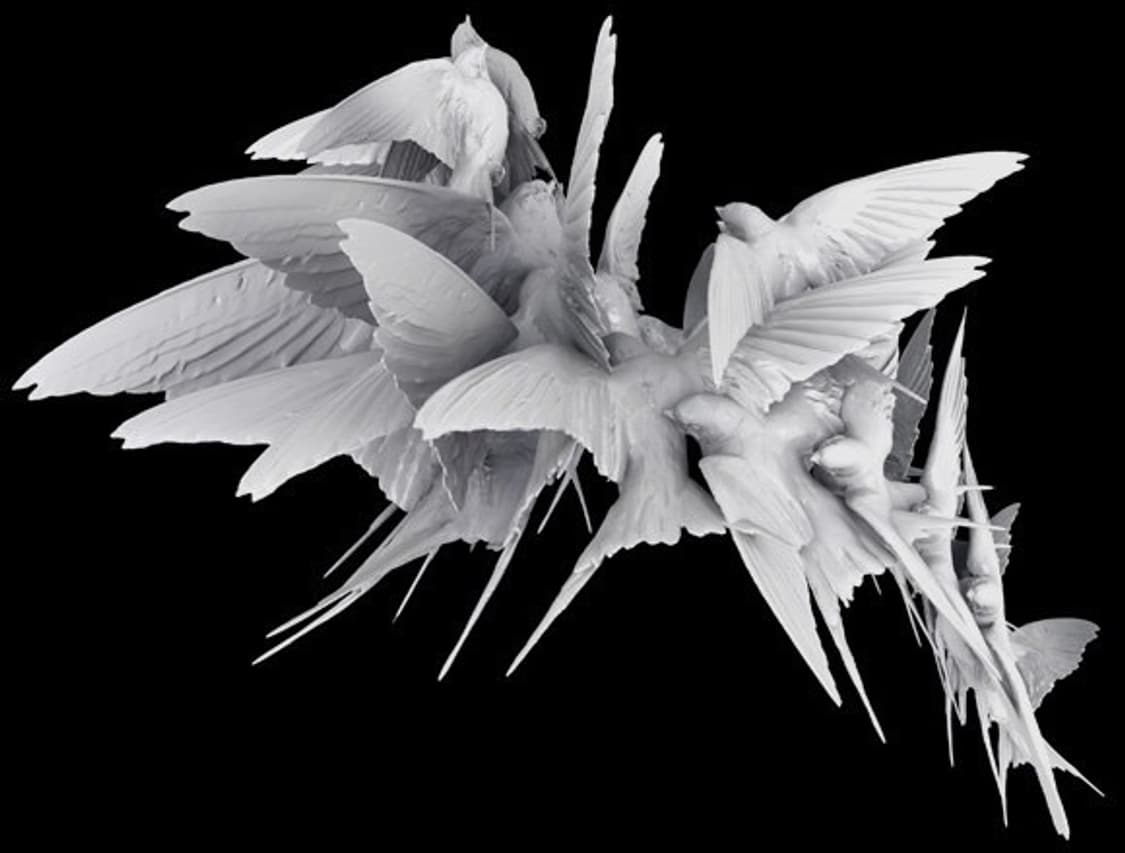 개인결제창 상품이미지1