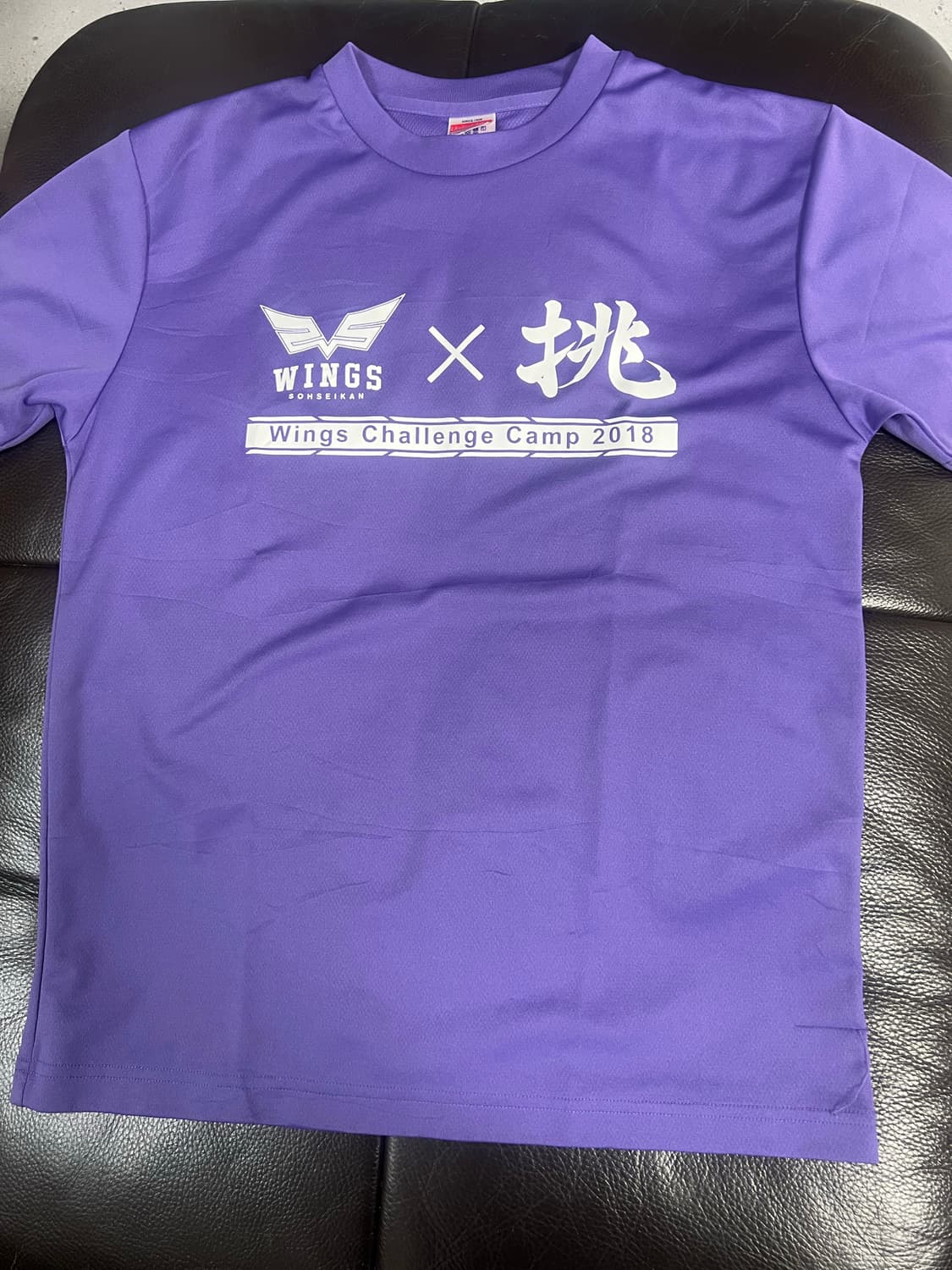 일본빈티비 쿨맥스 소재 반팔  상품이미지1