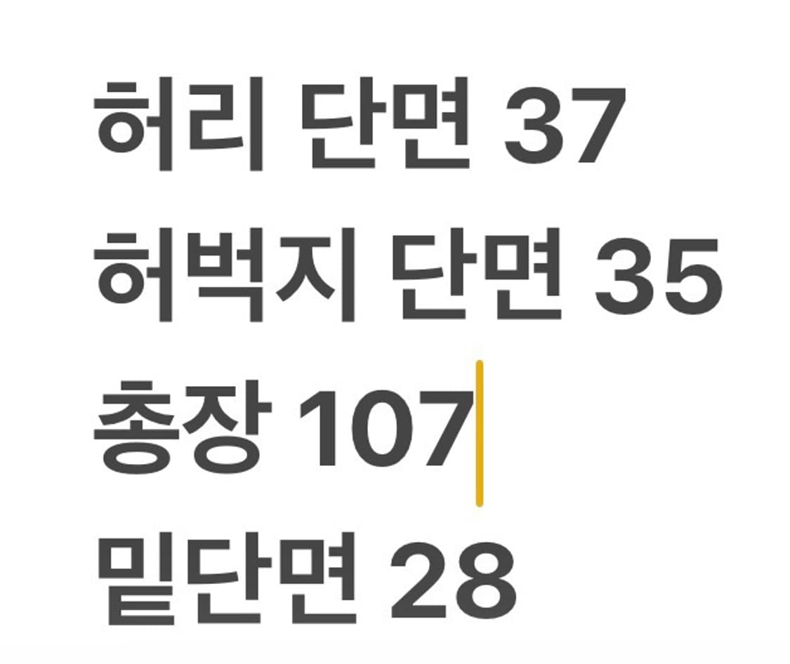 [정품/XL] 마르떼프랑소와저버 코듀로이 바지 b14 상품이미지7