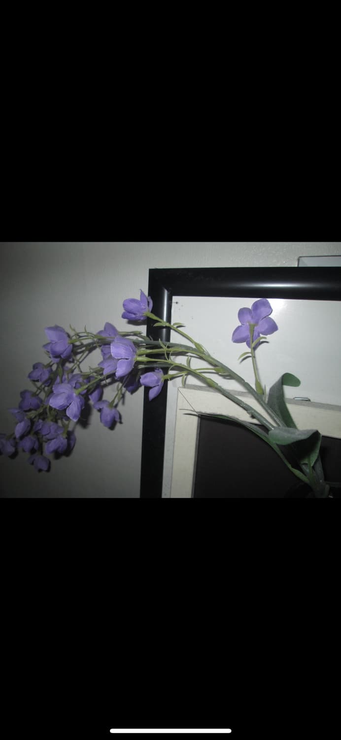 캐논 PowerShot A2400 IS / 슬림한 데일리 감성 디카 상품이미지4