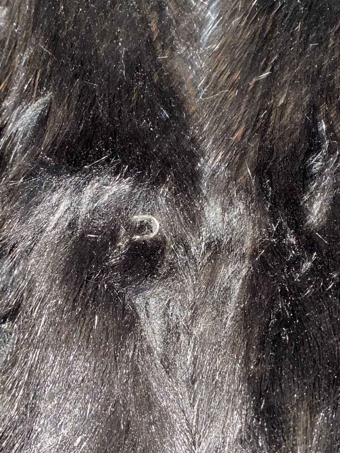 블랙퍼 자켓 상품이미지3