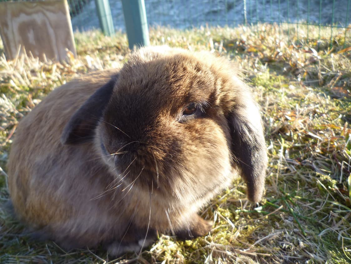 (라이카렌즈💛) 파나소닉 루믹스 DMC-FX40 디카 디지털카메라 상품이미지7