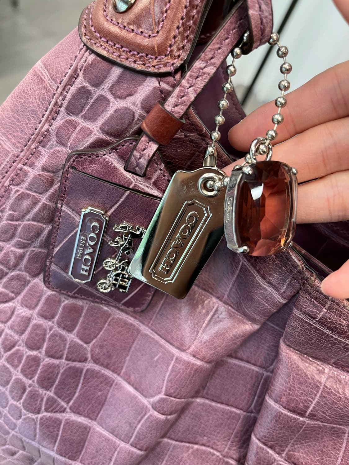 Coach Purple Basic Bag 상품이미지4