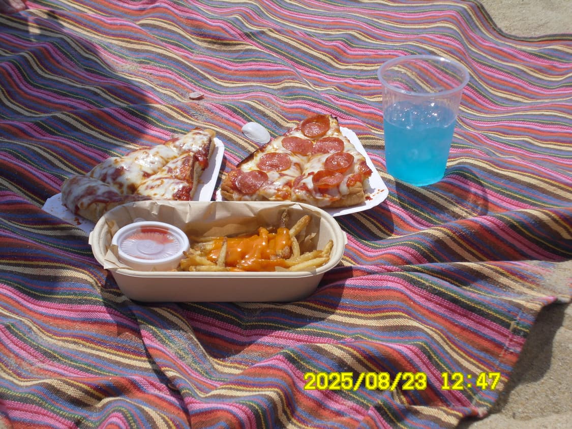 삼성 빈티지카메라 VLUU PL90 디카 상품이미지8