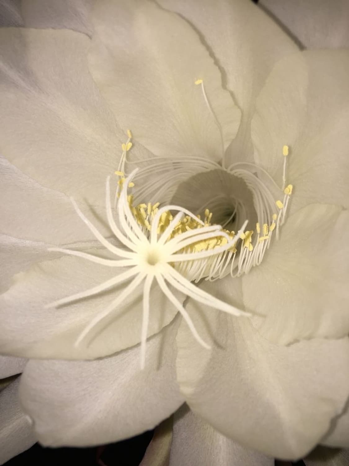 개인결제창 상품이미지1