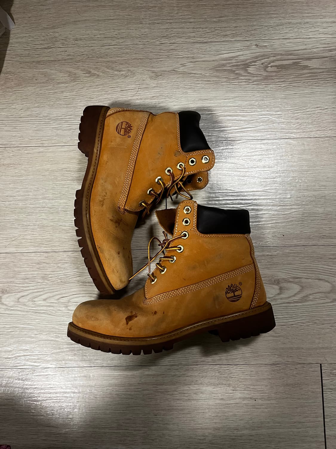 팀버랜드 6인치 260 상품이미지1