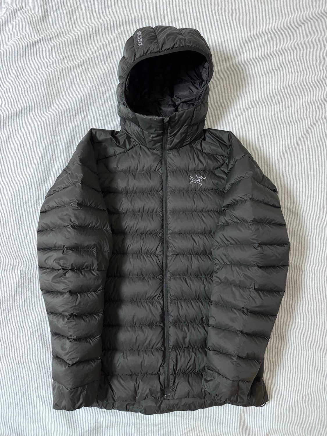 (S급) 아크테릭스 세륨 후디 블랙 M 상품이미지2