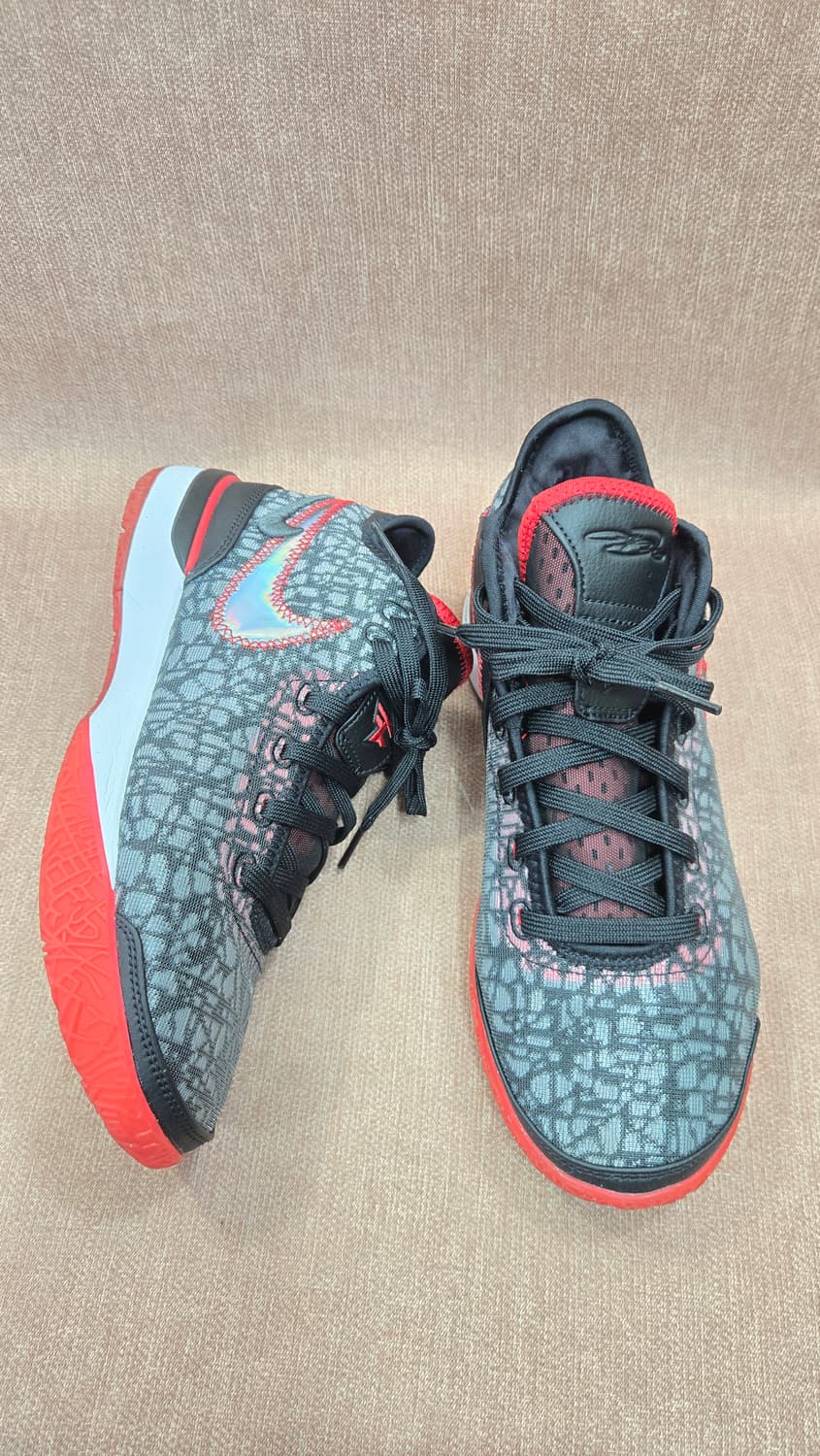 나이키 미착용 260mm-  르브론 NXXT 젠 EP    상품이미지1