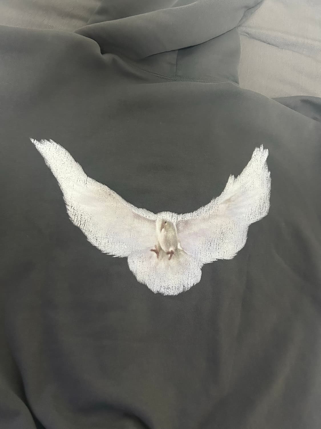 [XL] 이지 갭 발렌시아가 도브 후드티 상품이미지2