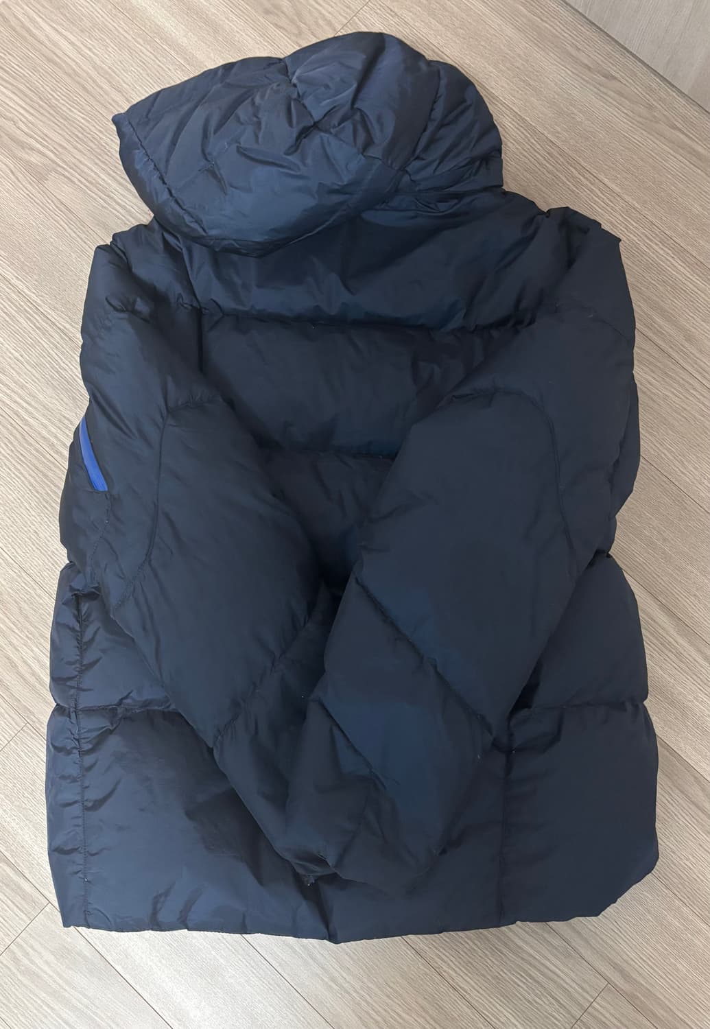 [L] 폴로 빅포니 성조기 패딩 상품이미지2