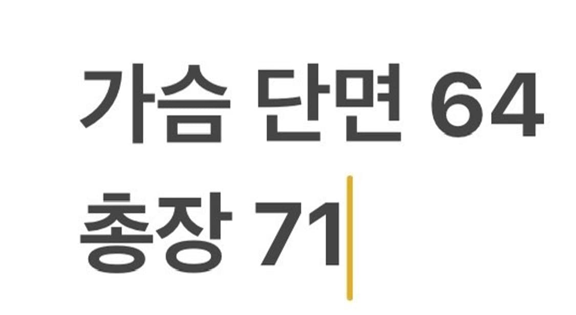 [정품/XL] 마운틴하드웨어 오렌지 패딩 자켓 b17 상품이미지9