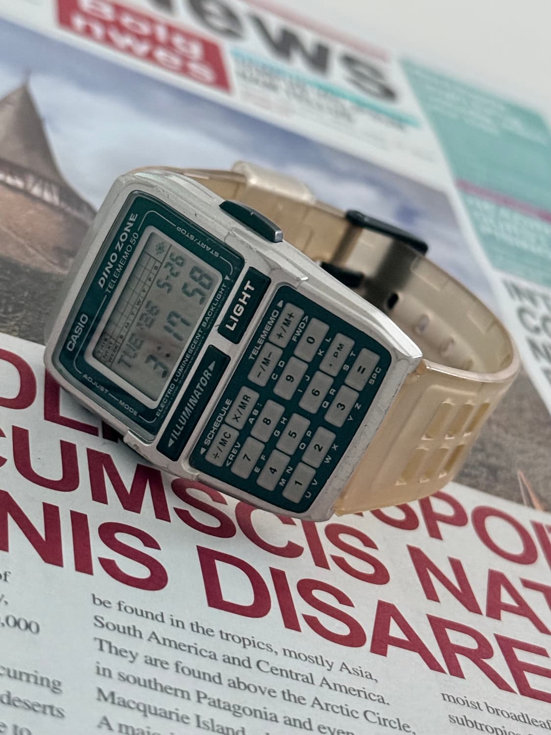 Casio 카시오 DBC-63 다이노 스켈레톤 한정판 Date Bank 상품이미지5