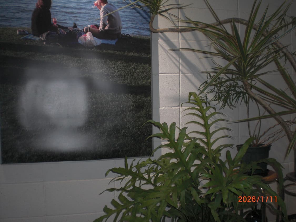 Xlim 엑슬림 카시오 ex-z85 브라운 상품이미지3