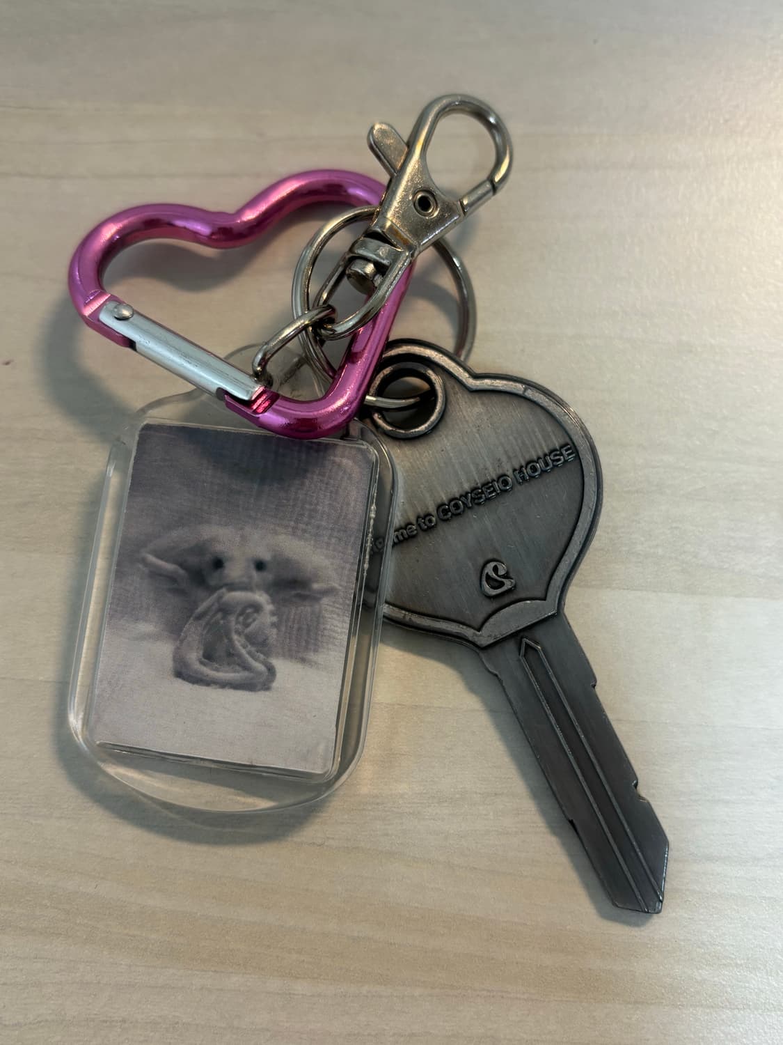 코이세이오 키링 상품이미지2