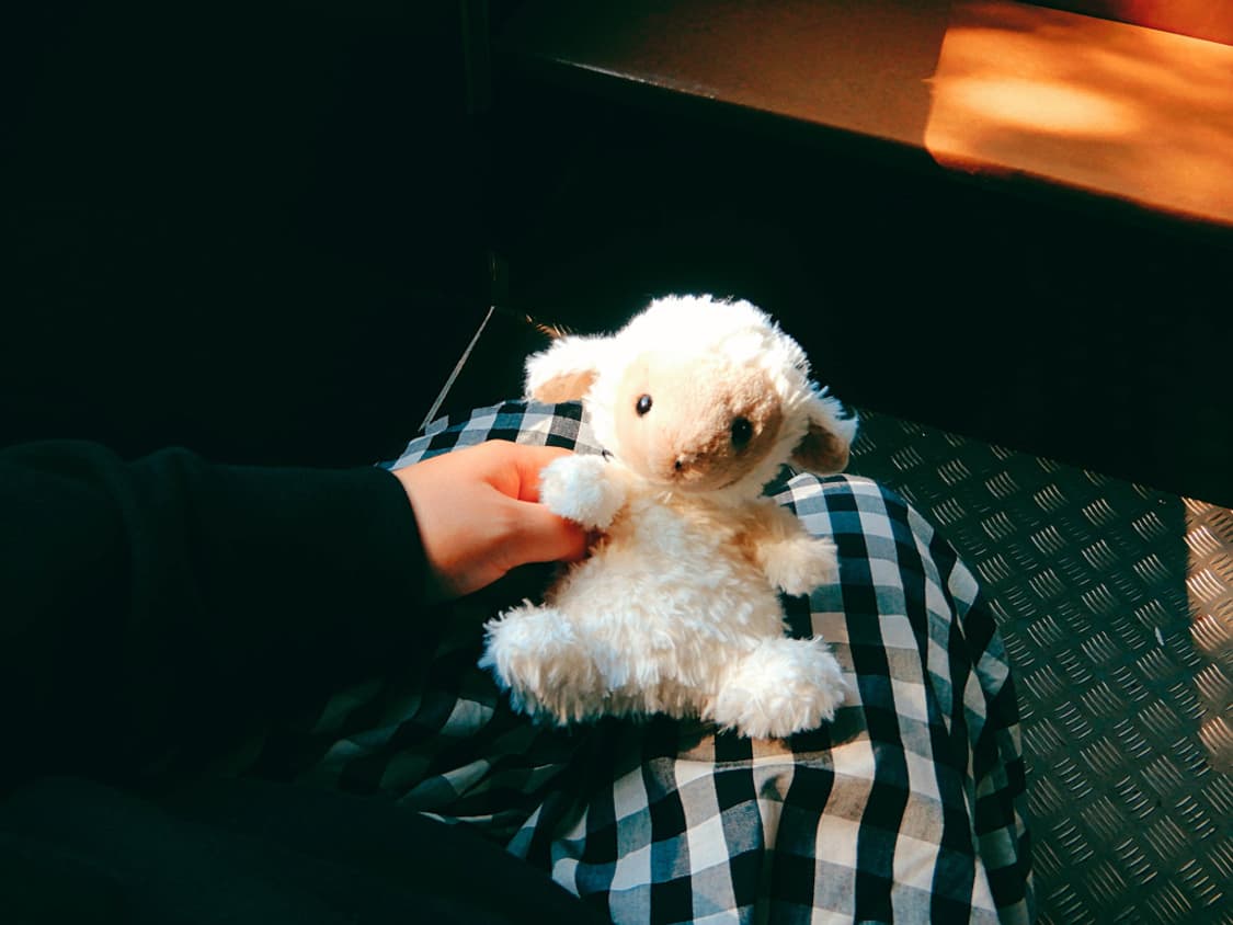 니콘 쿨픽스 Nikon COOLPIX A900 블랙 상품이미지5