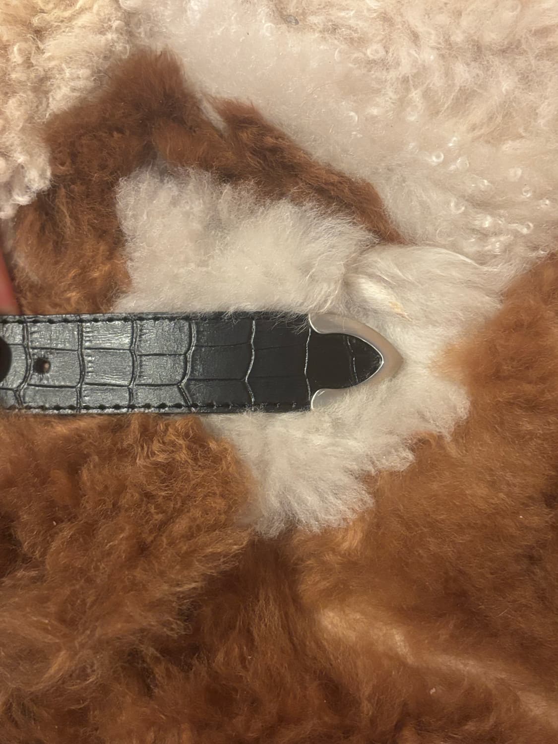 스투시 21aw 게이터 레더 벨트 상품이미지3